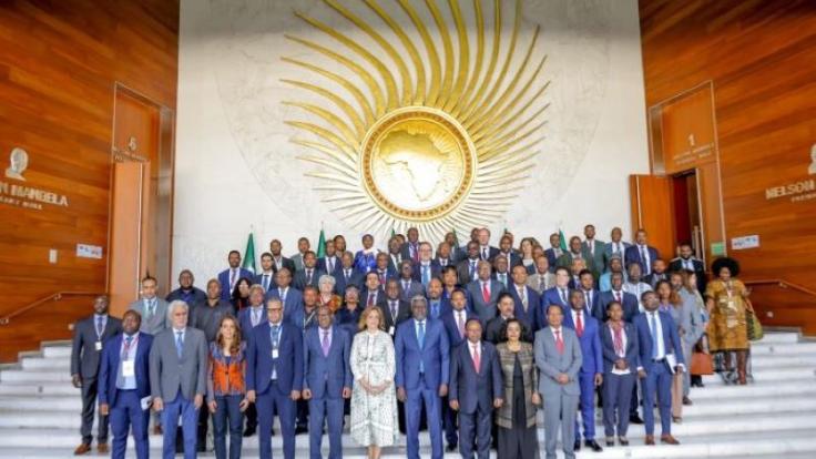 domi photo-RmhC8cxwbm.jpg